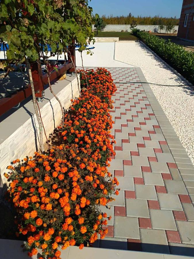 Villa Verbena Mala Cista ห้อง รูปภาพ